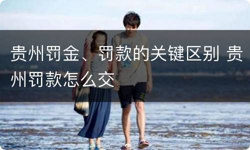 贵州罚金、罚款的关键区别 贵州罚款怎么交