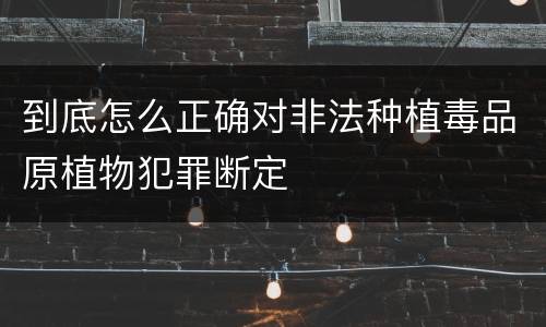 到底怎么正确对非法种植毒品原植物犯罪断定
