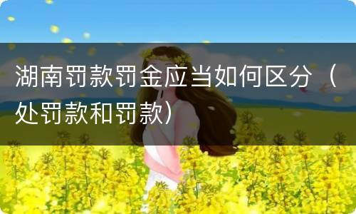 湖南罚款罚金应当如何区分（处罚款和罚款）