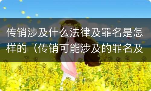 传销涉及什么法律及罪名是怎样的（传销可能涉及的罪名及量刑）