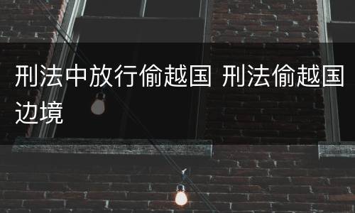 刑法中放行偷越国 刑法偷越国边境