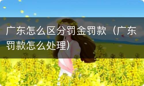 广东怎么区分罚金罚款（广东罚款怎么处理）