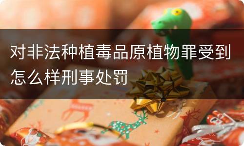 对非法种植毒品原植物罪受到怎么样刑事处罚