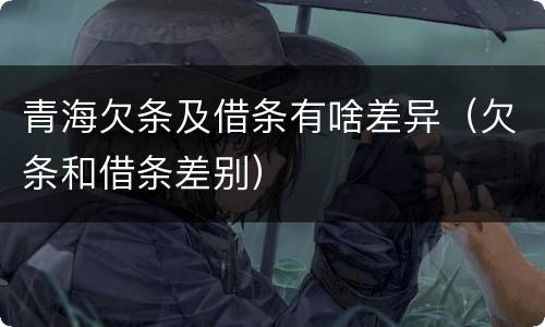 青海欠条及借条有啥差异（欠条和借条差别）