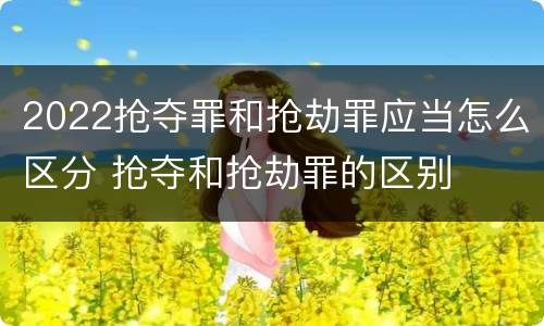 2022抢夺罪和抢劫罪应当怎么区分 抢夺和抢劫罪的区别