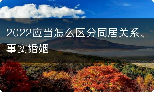 2022应当怎么区分同居关系、事实婚姻