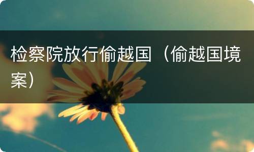 检察院放行偷越国（偷越国境案）