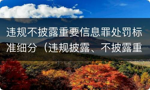 违规不披露重要信息罪处罚标准细分（违规披露、不披露重要信息罪的罚金）