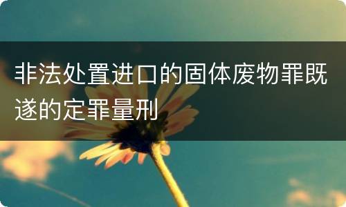 非法处置进口的固体废物罪既遂的定罪量刑