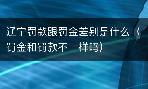 辽宁罚款跟罚金差别是什么（罚金和罚款不一样吗）