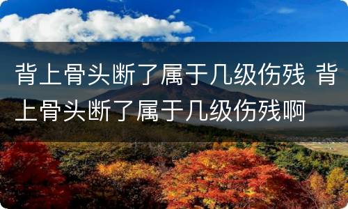 背上骨头断了属于几级伤残 背上骨头断了属于几级伤残啊