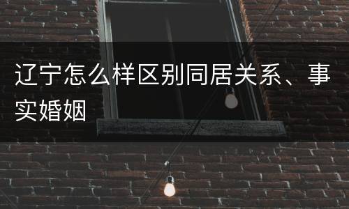 辽宁怎么样区别同居关系、事实婚姻
