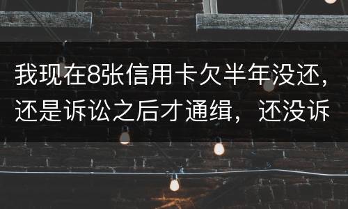 我现在8张信用卡欠半年没还，还是诉讼之后才通缉，还没诉讼