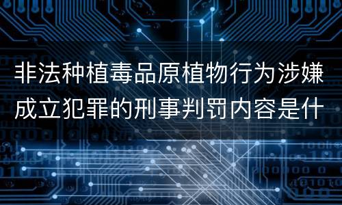 非法种植毒品原植物行为涉嫌成立犯罪的刑事判罚内容是什么