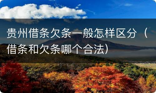 贵州借条欠条一般怎样区分（借条和欠条哪个合法）