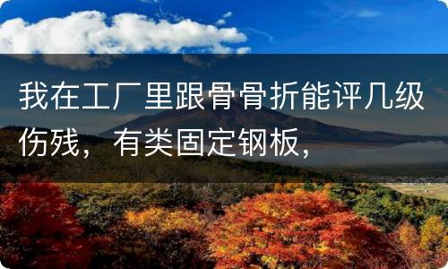 我在工厂里跟骨骨折能评几级伤残，有类固定钢板，