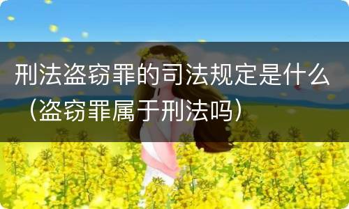 刑法盗窃罪的司法规定是什么（盗窃罪属于刑法吗）