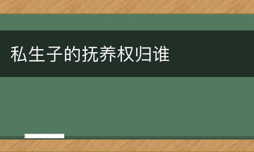 私生子的抚养权归谁