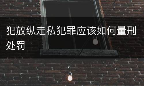 犯放纵走私犯罪应该如何量刑处罚