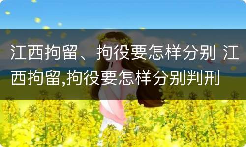 江西拘留、拘役要怎样分别 江西拘留,拘役要怎样分别判刑