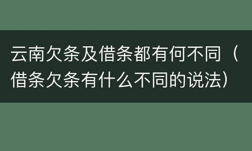 云南欠条及借条都有何不同（借条欠条有什么不同的说法）