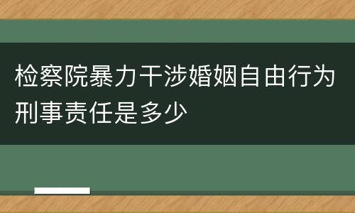 检察院暴力干涉婚姻自由行为刑事责任是多少