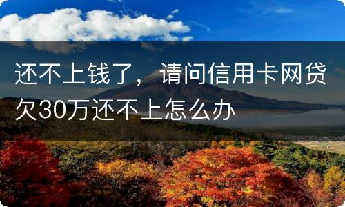 还不上钱了，请问信用卡网贷欠30万还不上怎么办