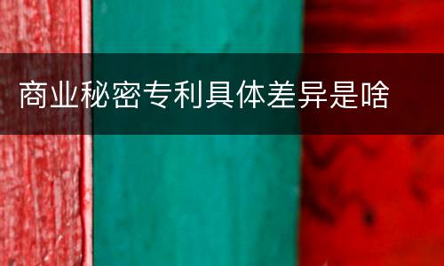 商业秘密专利具体差异是啥