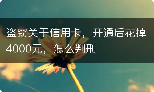 盗窃关于信用卡，开通后花掉4000元，怎么判刑