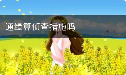 通缉算侦查措施吗