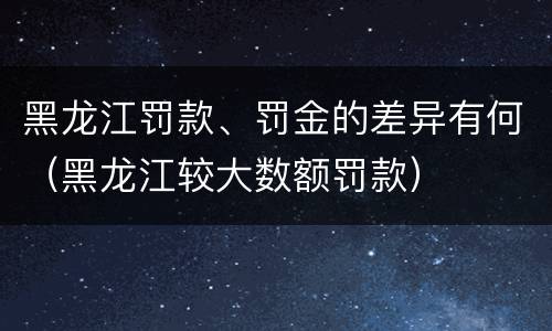 黑龙江罚款、罚金的差异有何（黑龙江较大数额罚款）