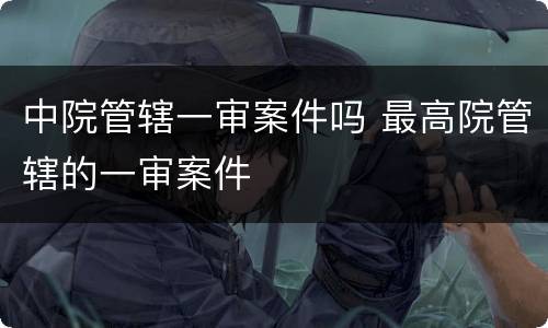 中院管辖一审案件吗 最高院管辖的一审案件