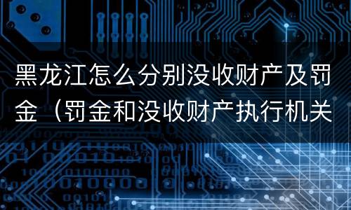 黑龙江怎么分别没收财产及罚金（罚金和没收财产执行机关）
