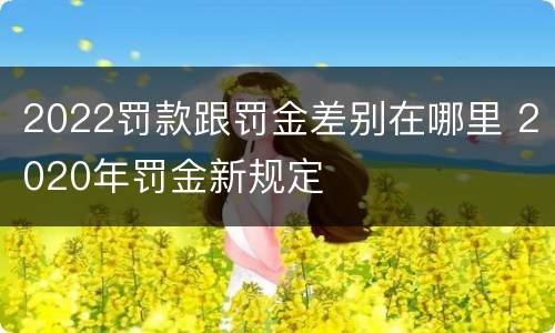2022罚款跟罚金差别在哪里 2020年罚金新规定