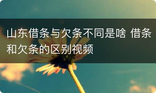 山东借条与欠条不同是啥 借条和欠条的区别视频