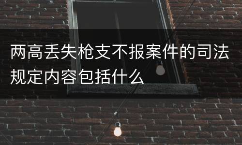 两高丢失枪支不报案件的司法规定内容包括什么