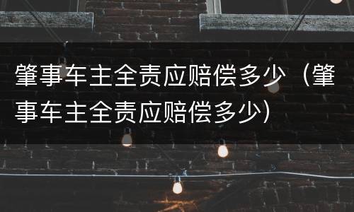 肇事车主全责应赔偿多少（肇事车主全责应赔偿多少）