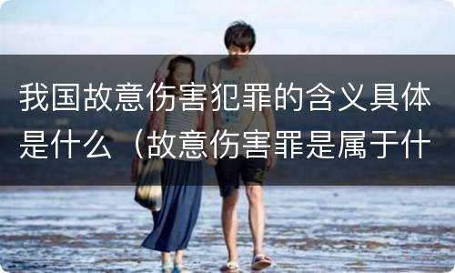 我国故意伤害犯罪的含义具体是什么（故意伤害罪是属于什么犯罪类型）