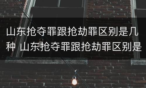 山东抢夺罪跟抢劫罪区别是几种 山东抢夺罪跟抢劫罪区别是几种处罚