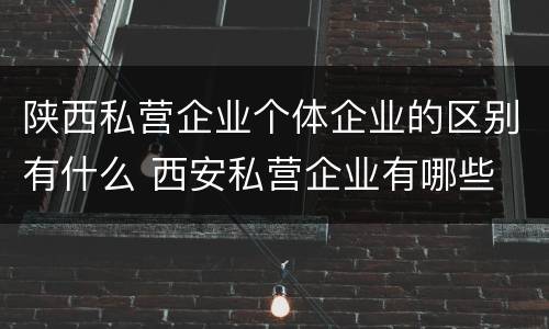 陕西私营企业个体企业的区别有什么 西安私营企业有哪些
