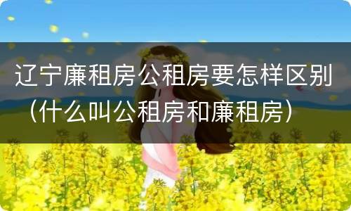 辽宁廉租房公租房要怎样区别（什么叫公租房和廉租房）