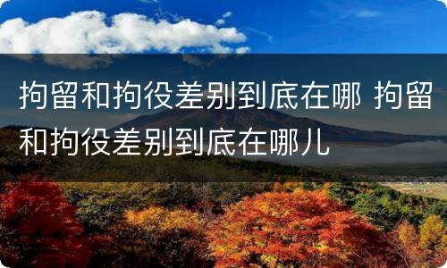 拘留和拘役差别到底在哪 拘留和拘役差别到底在哪儿