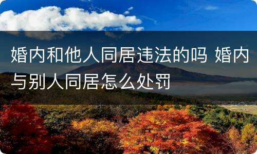 婚内和他人同居违法的吗 婚内与别人同居怎么处罚