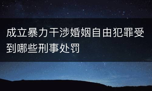 成立暴力干涉婚姻自由犯罪受到哪些刑事处罚