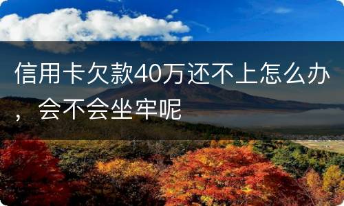 信用卡欠款40万还不上怎么办，会不会坐牢呢