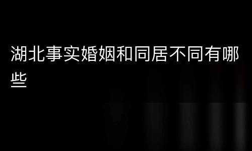 湖北事实婚姻和同居不同有哪些