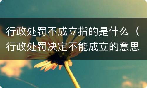 行政处罚不成立指的是什么（行政处罚决定不能成立的意思）