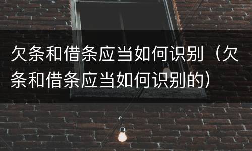 欠条和借条应当如何识别（欠条和借条应当如何识别的）