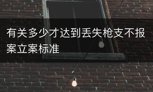 有关多少才达到丢失枪支不报案立案标准