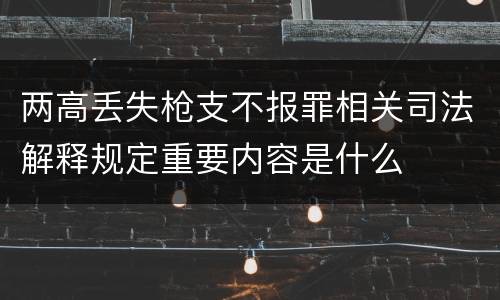 两高丢失枪支不报罪相关司法解释规定重要内容是什么
